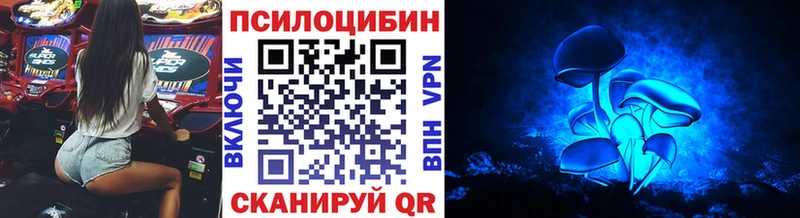Псилоцибиновые грибы Psilocybe  Обь 