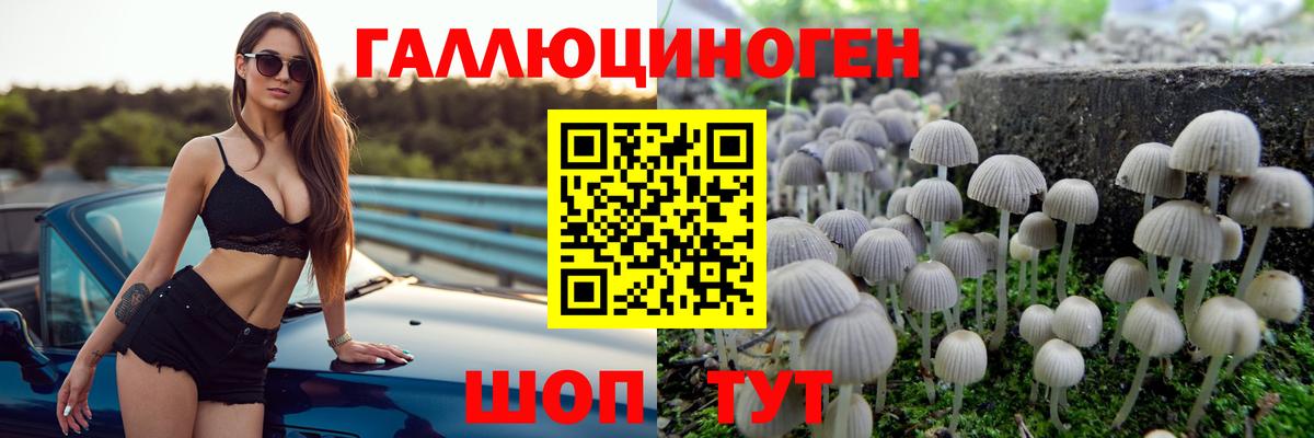 Обь  где купить наркоту  Вход с VPN  Галлюциногенные грибы Cubensis 